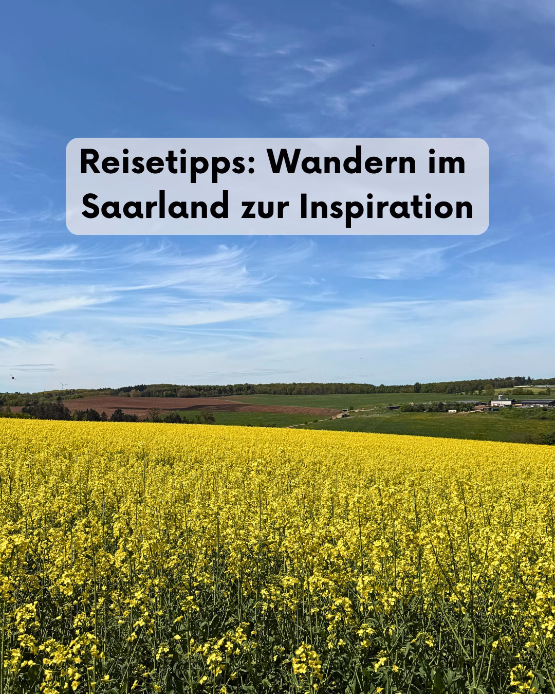 Weites Rapsfeld im Saarland unter blauem Himmel als Inspiration für Kunst von der Künstlerin Janiscolorart | Landschaftsfoto mit gelben Blüten und grünen Hügeln.