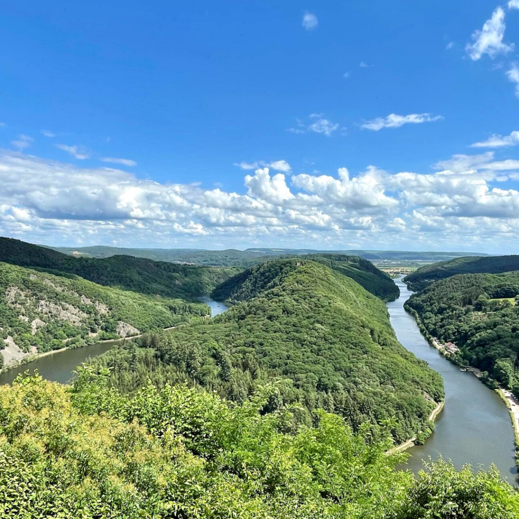 Wandern 🚶‍♂️ in Deutschland 🇩🇪 und im Saarland macht einfach großen Spaß. Jeder Wanderfreund 🥾 sollte einmal hier gewesen sein und sich diesen wunderschönen Ausblick der Saarschleife angesehen haben. Man sagt nicht umsonst Saarland, grünes 🌳 Land. Beheimatet sind zum größten Teil Buchen (Fagus Sylvatica) und Stieleichen (Quercus robur)