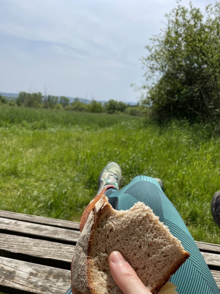 Wandern 🚶‍♂️ und zur Ruhe kommen: Entspannung und Naturerlebnis 🏞️ an den Pfingstfeiertagen im Bliesgau und im Dreiländereck. Ich sitze auf einer Bank und esse mein Graubrot, während ich die Natur beobachte.