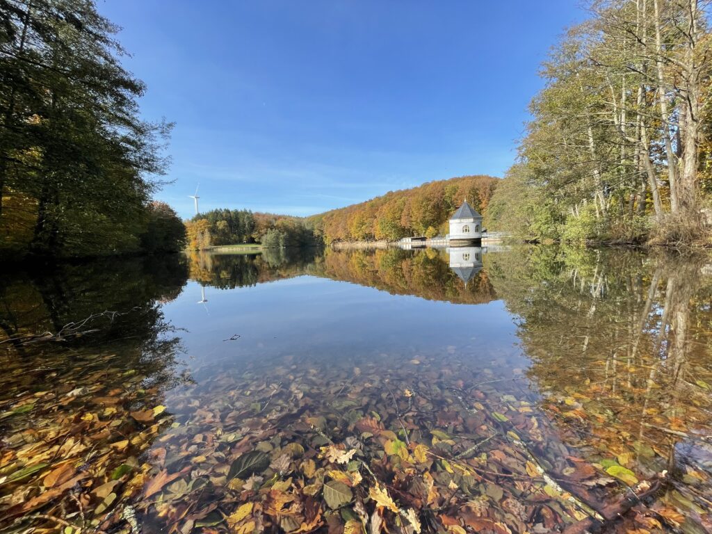 🥾 Reisetipps: Wandern im Saarland zur Inspiration - Der Itzenplitzer Weiher in Heiligenwald Gemeinde Schiffweiler mit seinem Türmchen. Der Weiher wird größten Teils von Eichen (Quercus robur) und Buchen (Fagus Sylvatica) umgeben.