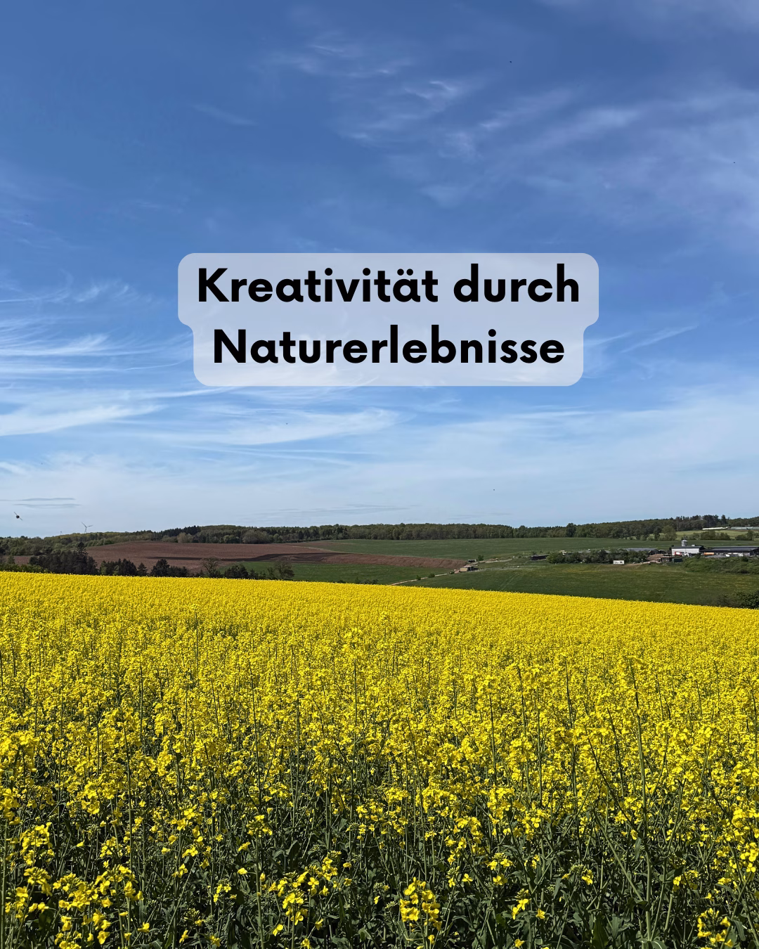 Kreativität durch Naturerlebnisse