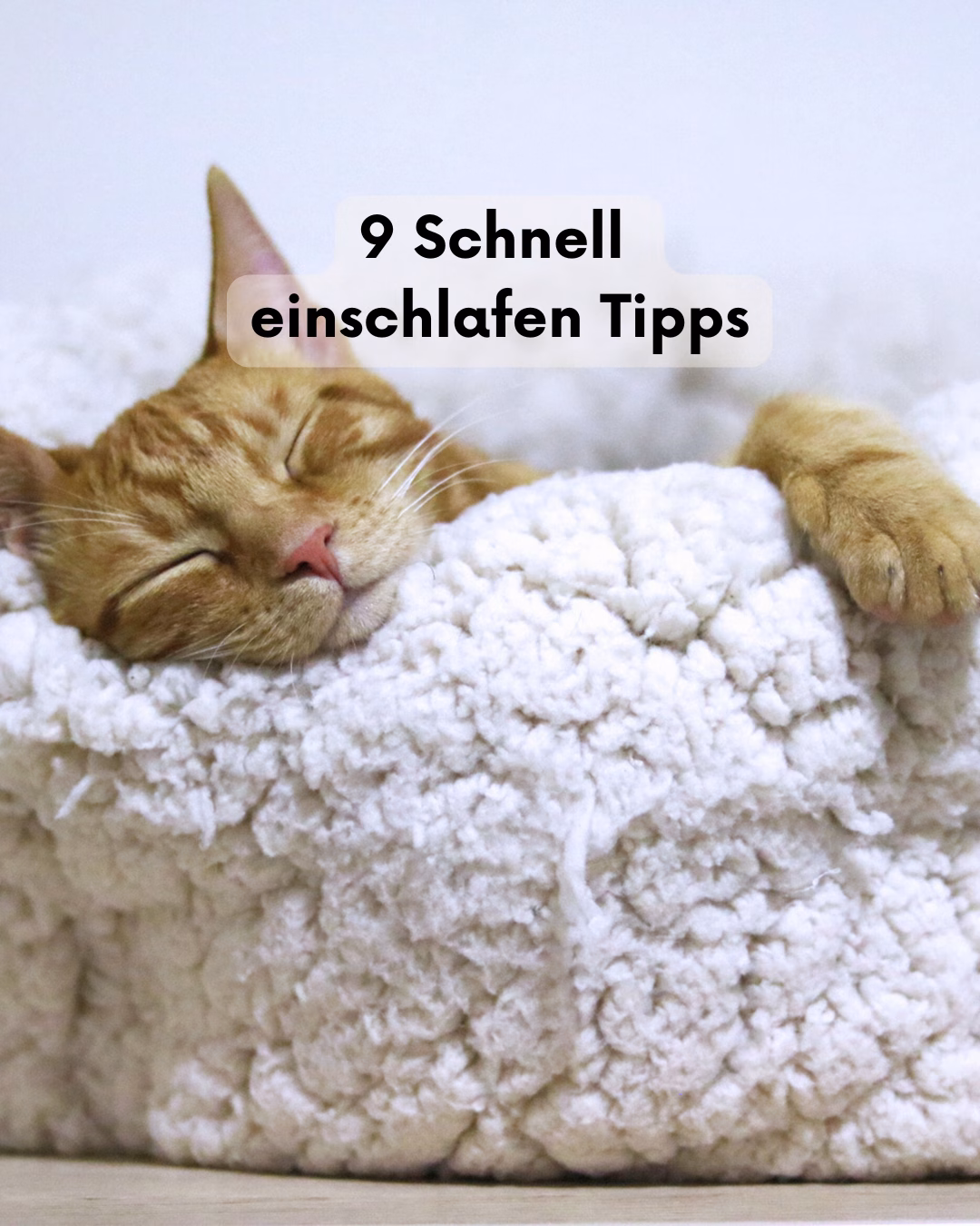 So friedlich wie diese Katze in den Schlaf gleitet – finden Sie Inspiration für Ihre Träume mit abstrakter Kunst von JanisColorArt aus dem Saarland.